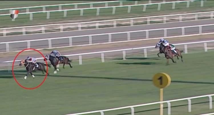 <p><span style="color:#B22222"><strong>ŞAMPİYON ATI KAVURMA YAPTILAR</strong></span></p>

<p>&nbsp;</p>
