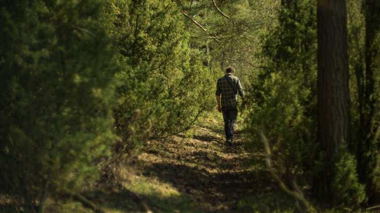 <p>İtalya&rsquo;da eşiyle tartışan bir adamın sakinleşmek i&ccedil;in başvurduğu y&ouml;ntem g&uuml;ndem oldu. 48 yaşındaki adamın, &ouml;fkesini kontrol altına almak amacıyla bir hafta boyunca y&uuml;r&uuml;d&uuml;ğ&uuml; ortaya &ccedil;ıktı.</p>
