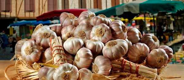 <p><strong>17- Ail Rose de Lautrec / Fransa</strong></p>
