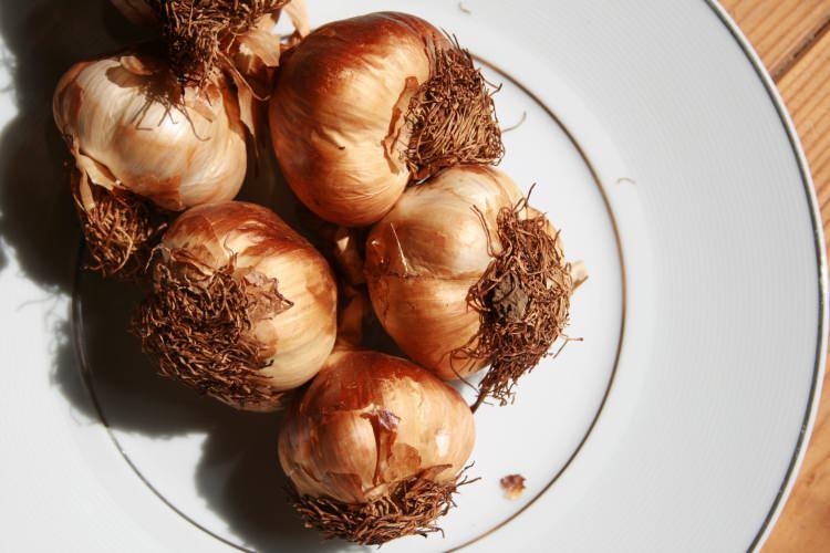 <p><strong>11- Ail Fum&eacute; d'Arleux / Fransa</strong></p>
