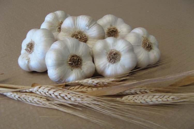 <p><strong>10- Ail de la Dr&ocirc;me / Fransa</strong></p>
