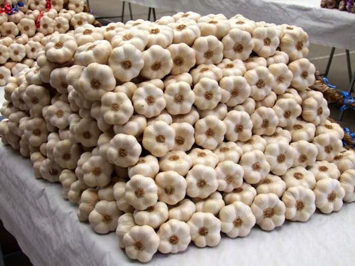 <p><strong>6- Ail blanc de Lomagne / Fransa</strong></p>
