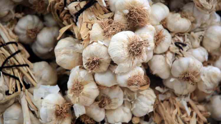 <p><span style="color:#FF0000"><strong>3- Taşk&ouml;pr&uuml; sarımsağı / T&uuml;rkiye&nbsp;</strong></span></p>

<p><span style="color:#FF0000"><strong>Kastamonu&rsquo;nun gururu "Taşk&ouml;pr&uuml; Sarımsağı" ise nitelik a&ccedil;ısından d&uuml;nyanın en iyi sarımsağı olarak nam salmaktadır. &Ouml;zel bir acılık ve koku yoğunluğuyla listede ilk 3'e giren bu sarımsak t&uuml;r&uuml;, &ouml;nemli bir antioksidan olan selenyum i&ccedil;erikleriyle dikkat &ccedil;ekici &ouml;zelliğe sahip.</strong></span></p>
