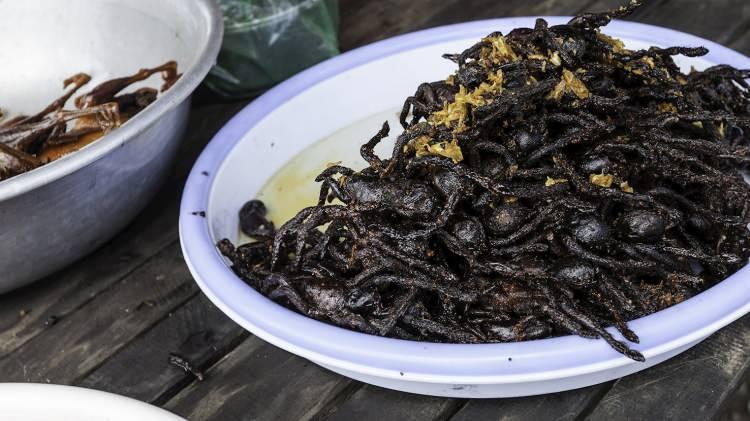 <p><span style="color:#FF0000"><strong>4. A-PİNG</strong></span></p>

<p><strong>Kambo&ccedil;ya'daki Skuon şehri o kadar &ccedil;ok &ouml;r&uuml;mcekle dolu ki "A-Ping", &ouml;r&uuml;mceklerin (genellikle tarantulalar) ekmek kırıntısına bulanıp kızgın yağda kızartılmasıyla yapılıyor. Bu yemek, ardından pirin&ccedil; veya erişte yatağında taze yerel otlarla servis ediliyor.</strong></p>
