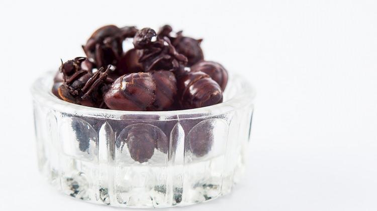 <p><span style="color:#FF0000"><strong>7. HORMİGA CULONA</strong></span></p>

<p><strong>Kolombiya'nın Santander b&ouml;lgesine &ouml;zg&uuml; sıradışı bir lezzet olan Hormiga culona, tuzla kavrulmuş olarak bir&ccedil;ok sokak k&ouml;şesinde satılırken, bazı l&uuml;ks restoranlar da yemeğin kendi gurme versiyonlarını yapmaktadır.&nbsp;</strong></p>
