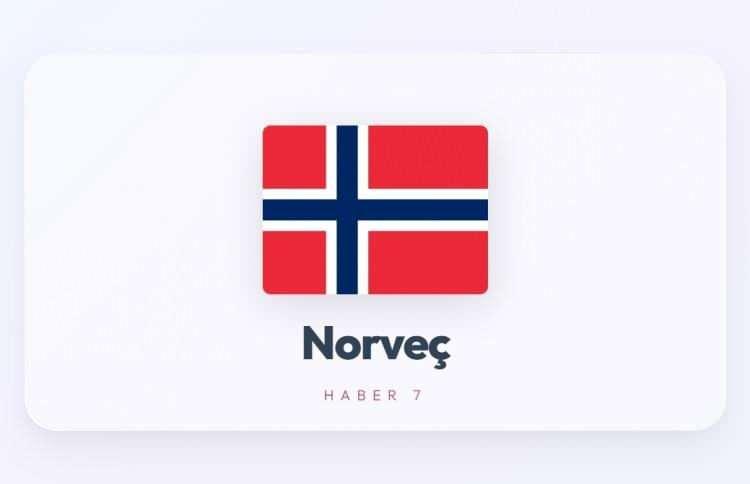 <p><span style="color:#B22222"><strong>NORVE&Ccedil;</strong></span></p>

