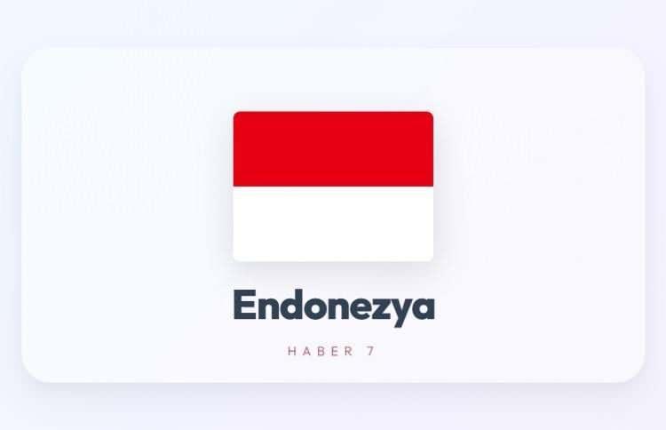 <p><span style="color:#B22222"><strong>ENDONEZYA</strong></span></p>
