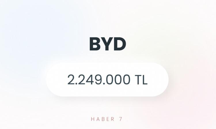 <p><span style="color:#B22222"><strong>BYD</strong></span></p>
