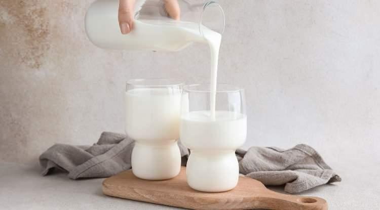 <p><span style="color:#FF0000"><strong>FERMENTE GIDALARI UNUTMAYIN!</strong></span></p>

<p><strong>Bağırsak ve beyin sağlığı arasındaki sarsılmaz bağı g&ouml;z &ouml;n&uuml;nde bulundurursak, beslenmenin zihinsel performans &uuml;zerindeki etkisi olduk&ccedil;a &ouml;nemli. Kefir, turşu ve yoğurt gibi fermente gıdalar bağırsak sağlığını desteklediği gibi bilişsel aktiviteleri de etkiliyor.</strong></p>
