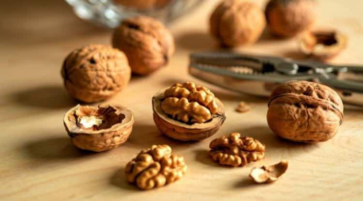 <p><strong>Ayrıca ceviz i&ccedil;eriğindeki polifenoller ve E vitamini sayesinde beyin fonksiyonlarını destekleyerek hafızayı g&uuml;&ccedil;lendirir.</strong></p>
