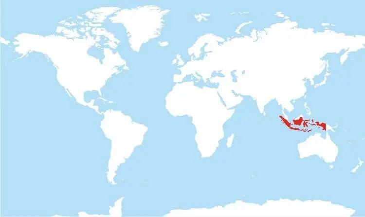 <p><strong><span style="color:rgb(178, 34, 34)">İşgal Zorluğu:&nbsp;</span>Par&ccedil;alı yapı sayesinde işgale diren&ccedil;li bir savunma sistemi.</strong></p>

<p>&nbsp;</p>

<p><strong>G&uuml;&ccedil;l&uuml; Y&ouml;nler:</strong>&nbsp;17.000'den fazla ada, devasa n&uuml;fus, stratejik boğazlar (Malaka).</p>
