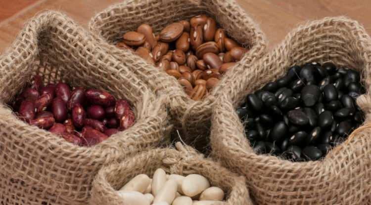 <p><strong>Buettner'ın araştırmalarına g&ouml;re; Mavi B&ouml;lgeler'de yaşamını s&uuml;rd&uuml;ren kişiler, diğer bireylere oranla en az d&ouml;rt kat daha fazla fasulye t&uuml;ketiyor.</strong></p>
