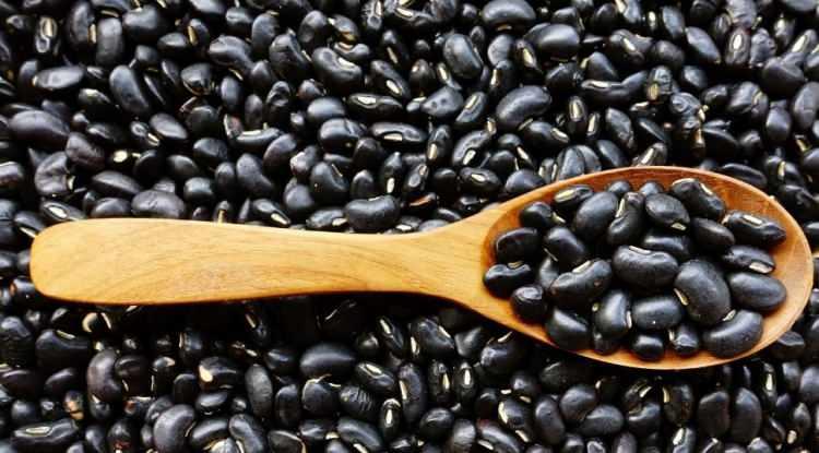 <p><strong>Ayrıca fasulyede yer alan y&uuml;ksek orandaki lif, bağırsaktaki sağlıklı probiyotiklerin &ccedil;oğalmasına olanak tanıyor ve tok tutma &ouml;zelliğiyle kilo alma sorununu geride bırakabiliyor.</strong></p>
