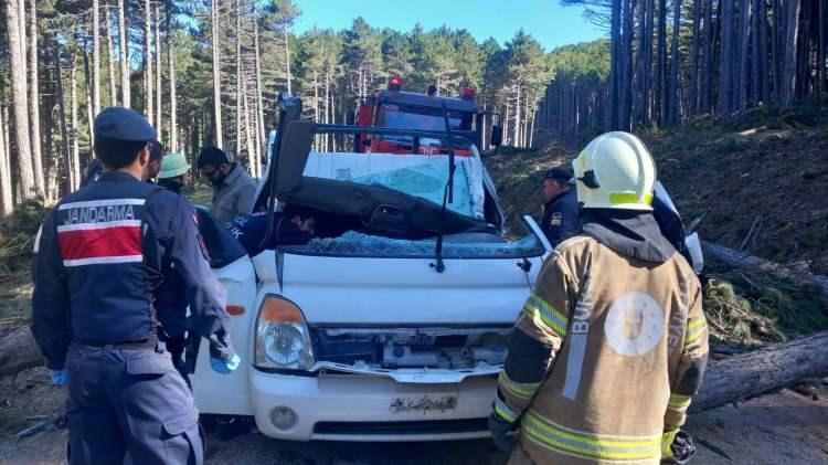 <p>Kamyonetin tam kabin kısmına gelen ağacın altında kalan Kurt, olay yerinde hayatını kaybetti.</p>
