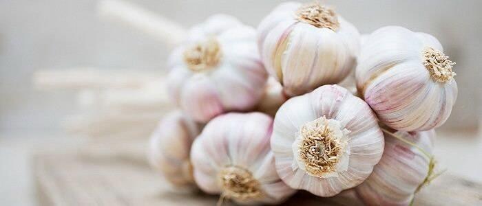 <p><strong>Binlerce yıldır "doğal antibiyotik kaynağı" olarak g&ouml;r&uuml;len kadim lezzetlerin başında sarımsak yer alıyor. Keskin kokusunun yanı sıra aromatik tadıyla yemeklere eşsiz bir dokunuş yapma imkanı sunan sarımsağı kimi zaman aperatif tariflerde kimi zaman ana yemeklerde kimi zaman da şifa deposu lezzetlerde sıklıkla tercih ediyoruz.</strong></p>
