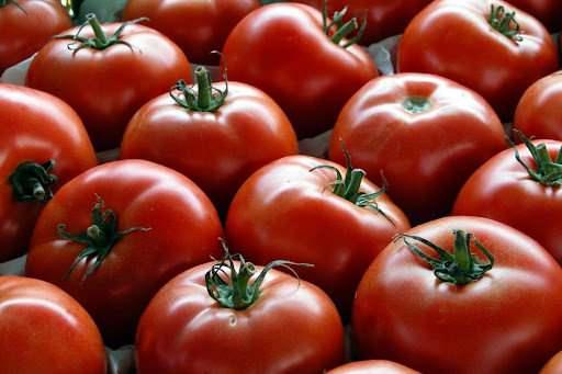 <p><strong>D&uuml;nya gastronomi alanında referans kabul edilen TasteAtlas platformu, d&uuml;nyanın en iyi domates &ccedil;eşitlerini sıraladı.</strong></p>
