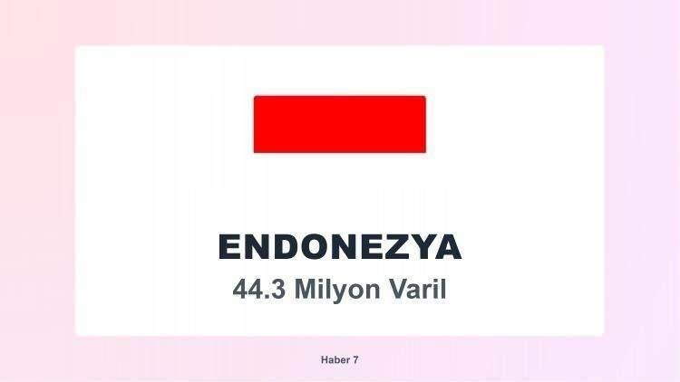 <p><span style="color:#B22222"><strong>22)&nbsp; ENDONEZYA</strong></span></p>
