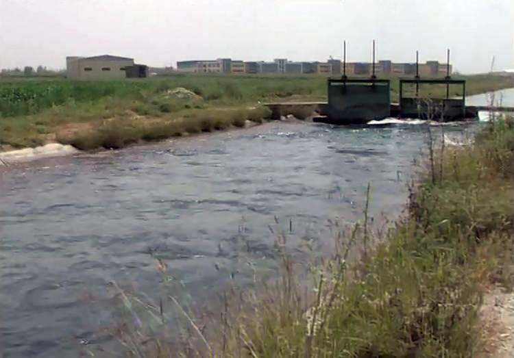 <p><span style="color:#A52A2A"><strong>"DEVLETİMDEN KIZIMIN KATİLLERİNİ BULMALARI İ&Ccedil;İN YARDIM İSTİYORUM"</strong></span></p>

<p>&nbsp;</p>

<p>Hatice S&uuml;rer ise kızı Jale ile aralarının &ccedil;ok iyi olduğunu belirterek, <strong><em>&ldquo;Biz onunla bir anne-kız değil, arkadaş gibiydik. &Ccedil;ok iyi bir insandı. Kimsenin kalbini kırmazdı. &Ccedil;ocukla &ccedil;ocuk olur, b&uuml;y&uuml;ğ&uuml;yle b&uuml;y&uuml;k gibi konuşurdu. Benim d&uuml;şmanım yoktu. Hakan&rsquo;ın arabasına binmesine kurban oldu benim kızım&rdquo;</em></strong> dedi.&nbsp;</p>

<p>&nbsp;</p>

<p>Kızının katilleri bulunamadığı i&ccedil;in huzurlu olmadığını belirten S&uuml;rer, <strong><em>&ldquo;Devletimden, kızımın katilinin bulunması i&ccedil;in yardım istiyorum. &Ccedil;&uuml;nk&uuml; huzurlu değilim. Bir an &ouml;nce kızımın katilini istiyorum.&rdquo; </em></strong>ifadesini kullandı.</p>

<p>&nbsp;</p>

<p><em><strong>KAYNAK: DHA&nbsp;</strong></em></p>
