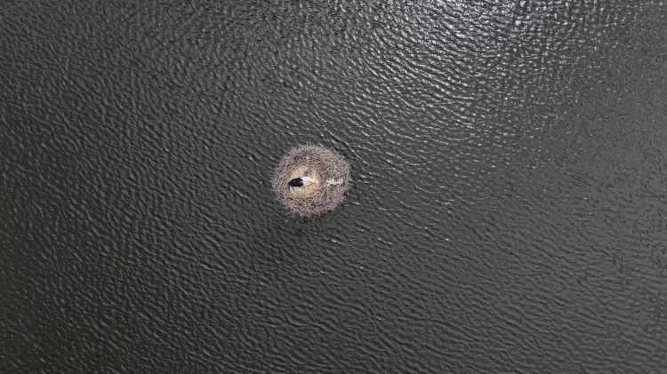 <p>Daha &ouml;nce boşaltılan 10 ev su altında kaldı. Su altındaki evler, dronla g&ouml;r&uuml;nt&uuml;lendi.</p>
