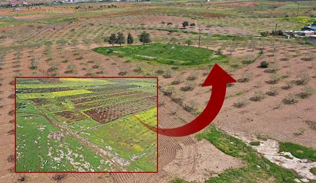 <p><span style="color:#B22222"><strong>Ge&ccedil;en sene 200 arkeolog &ccedil;alıştı</strong></span></p>

<p>Prof. Dr. Karul, proje kapsamında ge&ccedil;en sene 200 arkeolog &ccedil;alıştığını ve bu uzmanlar i&ccedil;erisinde ilk kez &ccedil;alışanlar olduğu gibi kıdemli arkeologların da sahada yer aldığını s&ouml;yledi.</p>

<p>Karul, projeye yeni katılan her &ouml;ğrenciye, daha &ouml;nce katılanlar tarafından bilgi aktarımı yapıldığını belirtti ve gen&ccedil; arkeologların Taş Tepeler'de yetiştiğinin altını &ccedil;izdi.</p>
