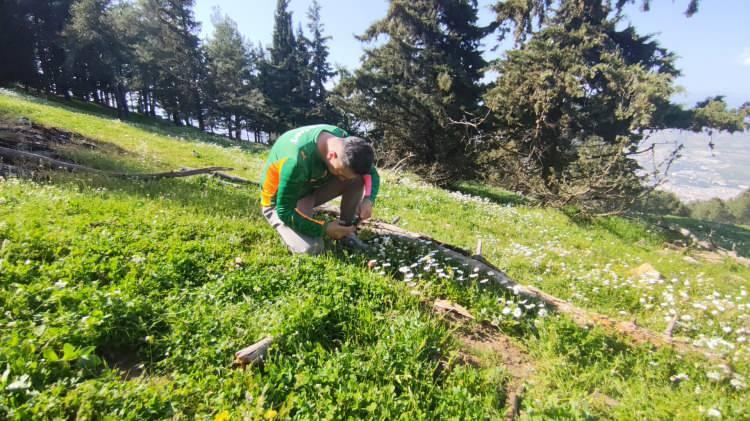 <p>Spil Dağı Milli Parkı'nda yılda yalnızca bir kez a&ccedil;an ve sadece 10 g&uuml;n yaşayabilen endemik t&uuml;r Manisa lalesi &ccedil;i&ccedil;ek a&ccedil;tı. Koruma altındaki laleyi koparmanın cezası ise 2026 yılı i&ccedil;in 699 bin 245 TL olarak a&ccedil;ıklandı.</p>

<p>&nbsp;</p>
