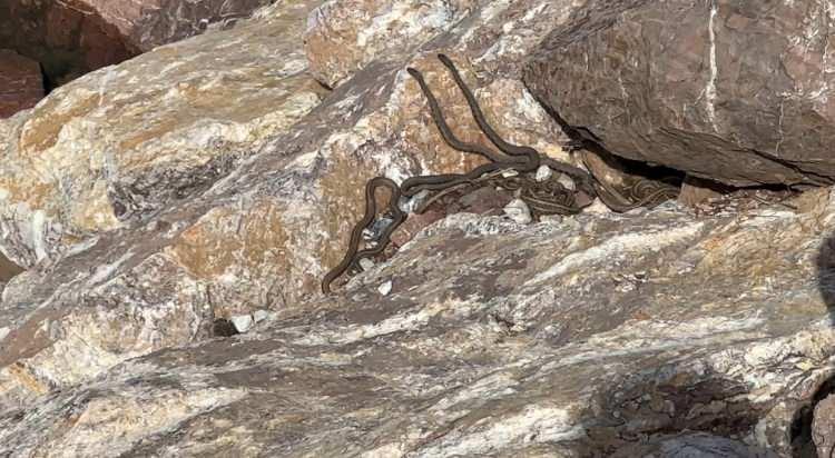 <p><strong><em>Biz de &ccedil;ocuklarımızla gelip g&uuml;zel bir g&uuml;n ge&ccedil;irdik.&nbsp;</em></strong></p>
