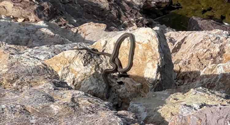 <p>KAYNAK: İHA&nbsp;</p>
