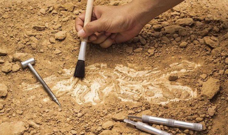 <p><span style="color:#FF0000"><strong>"HASTALIK AMERİKA'YA S&Ouml;M&Uuml;RGECİLERDEN GELDİ" TEZİ &Ccedil;&Uuml;R&Uuml;D&Uuml;</strong></span></p>

<p><strong>Boğaz enfeksiyonlarından kızıl ateşe, hatta &ouml;l&uuml;mc&uuml;l 'et yiyen bakteri' sendromuna kadar korkutucu tabloları beraberinde getiren 'Streptococcus pyogenes'in bir arkeolojik kalıntıda ilk kez tespit edilmesi ise tarihin akışını değiştiren bir keşfi ortaya &ccedil;ıkardı. S&ouml;z konusu keşif, yıllardır 'boğaz ağrısı ve kızıl ateş gibi hastalıkların Amerika'ya s&ouml;m&uuml;rgecilerle geldiği' y&ouml;n&uuml;ndeki tezi &ccedil;&uuml;r&uuml;t&uuml;yor.</strong></p>
