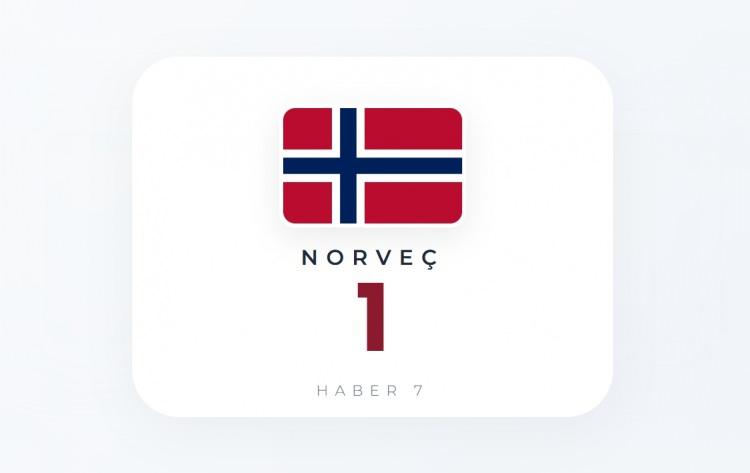 <p><span style="color:#B22222"><strong>NORVE&Ccedil;</strong></span></p>
