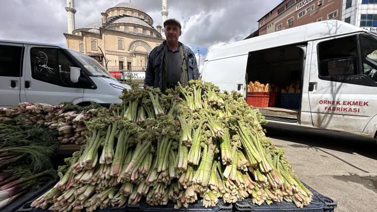 <p>Hakkari ve il&ccedil;elerinde baharın m&uuml;jdeleyicisi olarak bilinen, y&uuml;ksek rakımlı dağlarda doğal olarak yetişen ve halk arasında "yayla muzu" olarak adlandırılan u&ccedil;kun (revas), pazar tezgahlarındaki yerini alırken,<span style="color:#A52A2A"><strong><em> sezonun ilk &uuml;r&uuml;nleri 150 TL'den alıcı buluyor.&nbsp;</em></strong></span></p>

