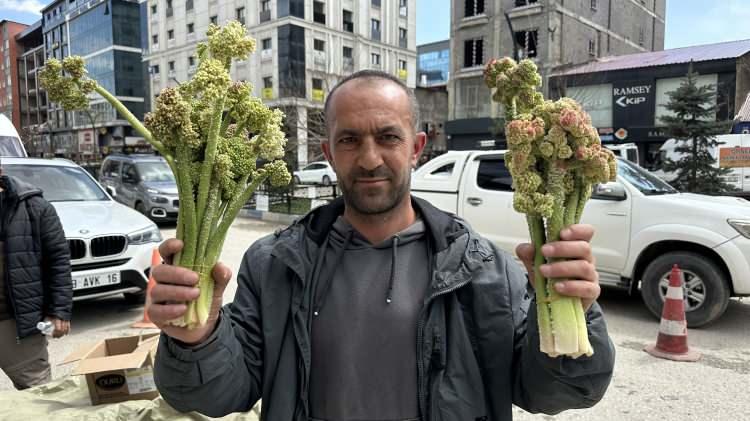 <p><span style="color:#A52A2A"><strong>KENDİLİĞİNDEN YETİŞİYOR</strong></span>&nbsp;</p>

<p>&nbsp;</p>

<p>Doğu Anadolu B&ouml;lgesi&rsquo;nin sarp dağlarında ve zorlu coğrafyasında kendiliğinden yetişen, b&ouml;lge halkı i&ccedil;in hem &ouml;nemli bir ge&ccedil;im kaynağı hem de eşsiz bir lezzet olan u&ccedil;kun bitkisi, havaların ısınmasıyla birlikte piyasaya &ccedil;ıktı.&nbsp;</p>
