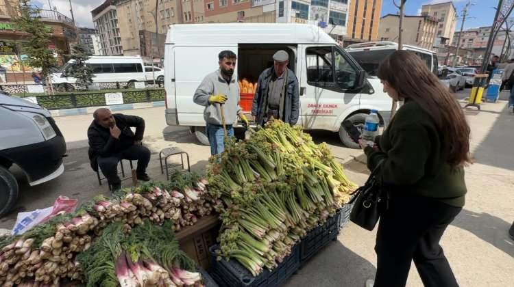 <p><em><strong>"Ge&ccedil;en yıl kilosunu 100 liradan satıyorduk. Bu yıl sezonu 150 liradan a&ccedil;tık. Şu an i&ccedil;in &uuml;r&uuml;n az olduğu i&ccedil;in fiyat b&ouml;yle, ancak &ouml;n&uuml;m&uuml;zdeki g&uuml;nlerde u&ccedil;kun &ccedil;oğaldık&ccedil;a ve havalar iyice ısındık&ccedil;a fiyatların gerilemesini bekliyoruz. Yıllardır bu işi yapıyorum, her sezon başında benzer bir grafik yaşanıyor."</strong></em></p>
