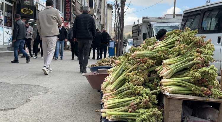 <p><span style="color:#A52A2A"><strong>BİR&Ccedil;OK HASTALIĞA KARŞI KORUYUCU ETKİLERİ BULUNUYOR&nbsp;</strong></span></p>

<p>&nbsp;</p>

<p>Uzmanlar ve vatandaşlar, antioksidan &ouml;zelliği y&uuml;ksek olan bu bitkinin; kanser, şeker ve diyabet gibi hastalıklara karşı koruyucu etkileri olduğuna inanıyor.</p>
