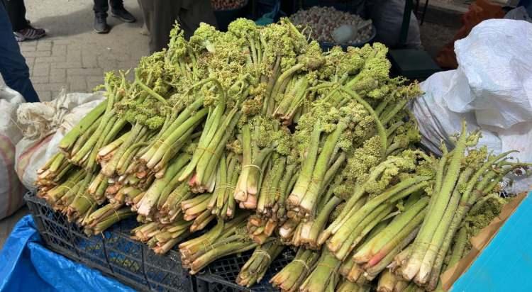 <p>Ekşimsi tadıyla bilinen ve b&ouml;lge halkı tarafından b&uuml;y&uuml;k bir iştahla t&uuml;ketilen u&ccedil;kun, sadece bir besin maddesi değil, aynı zamanda bir şifa deposu olarak g&ouml;r&uuml;l&uuml;yor.&nbsp;</p>
