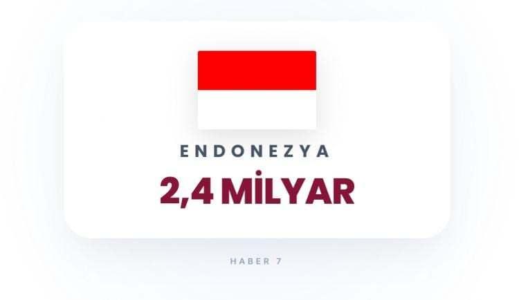 <p><span style="color:#B22222"><strong>32)&nbsp; ENDONEZYA</strong></span></p>
