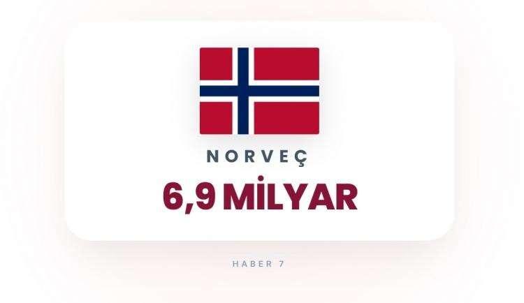 <p><span style="color:#B22222"><strong>19)&nbsp; NORVE&Ccedil;</strong></span></p>
