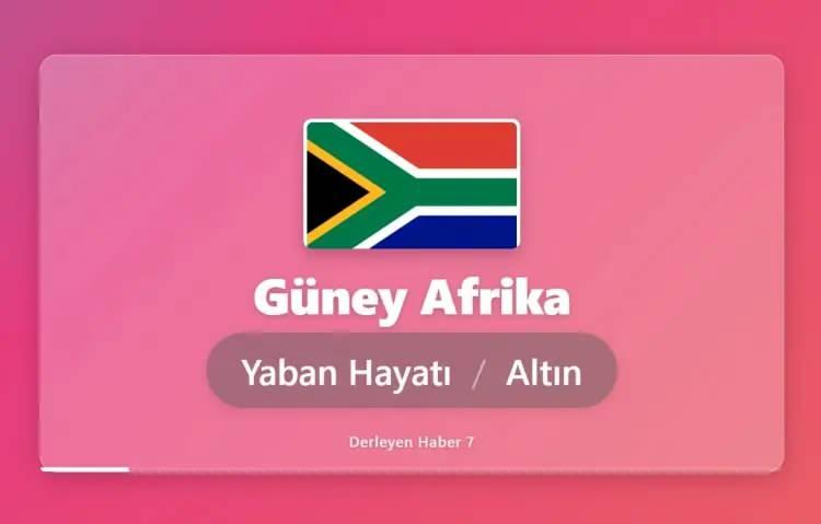 <p>G&Uuml;NEY AFRİKA DENİNCE İLK AKLA GELEN: YABAN HAYATI VE ALTIN</p>
