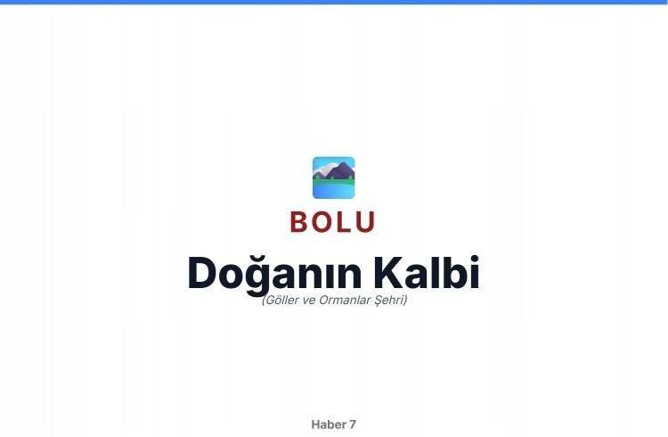 <p>BOLU</p>
