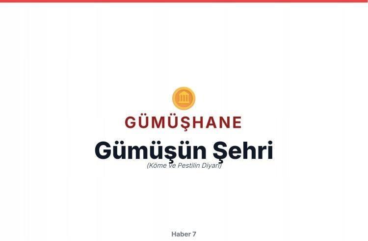 <p>G&Uuml;M&Uuml;ŞHANE</p>
