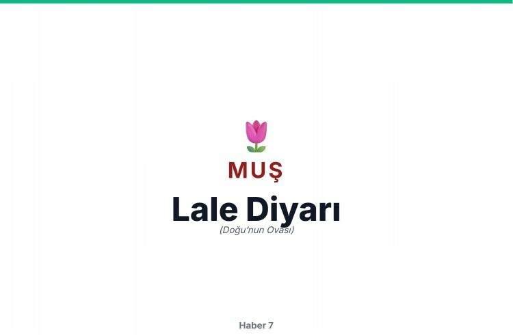<p>MUŞ</p>
