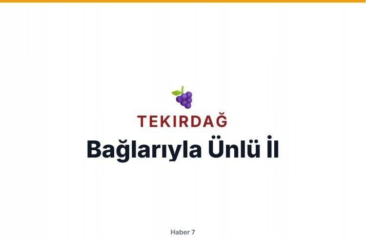 <p>TEKİRDAĞ</p>
