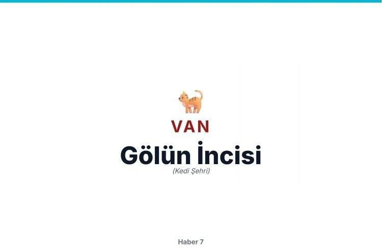 <p>VAN</p>
