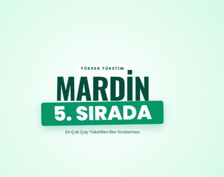 <p><span style="color:#B22222"><strong>MARDİN</strong></span></p>
