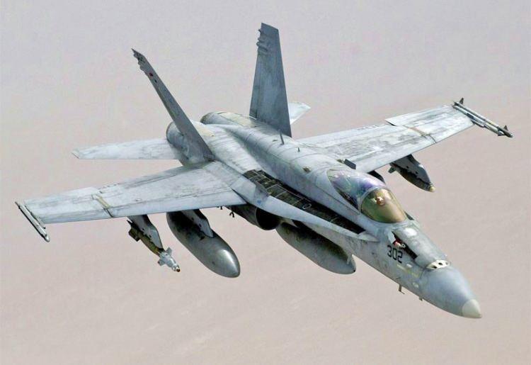 <p><strong>McDonnell Douglas FA-18 Hornet</strong></p>
