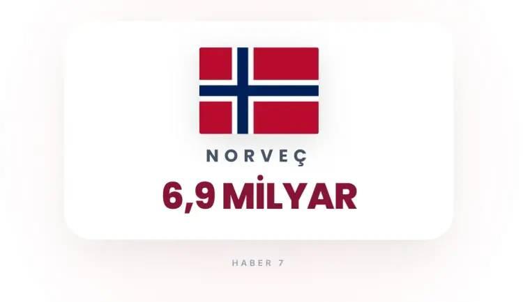 <p><strong>19)&nbsp; NORVE&Ccedil;</strong></p>
