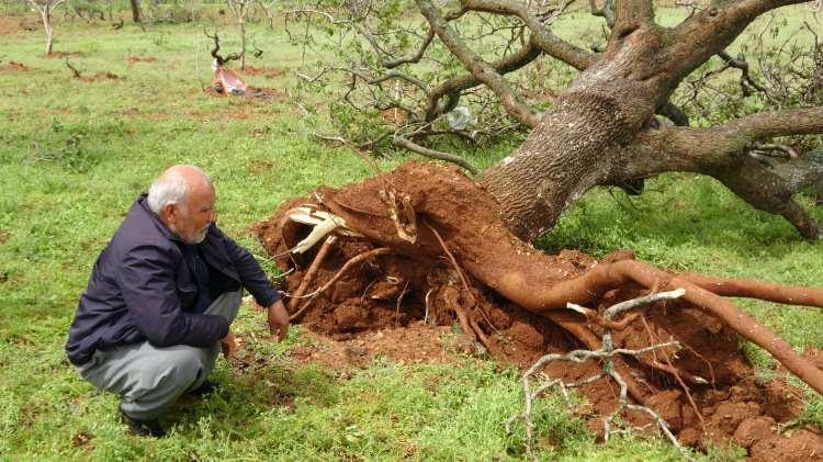 <p>S&ouml;z konusu al&ccedil;ak basın&ccedil; sistemi saat y&ouml;n&uuml;n&uuml;n tersine d&ouml;nen hava hareketi meydana getirdi, bu da cephesel yapıların belirginleşmesine neden oldu.&nbsp;</p>
