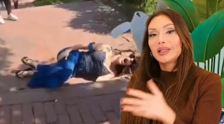 <p><strong>Eski manken ve oyuncu Sevda Demirel, arkadaşlarıyla birlikte İstanbul&rsquo;daki Ma&ccedil;ka Parkı'nda g&uuml;zel havanın tadını &ccedil;ıkarırken talihsiz bir kaza yaşadı.</strong></p>
