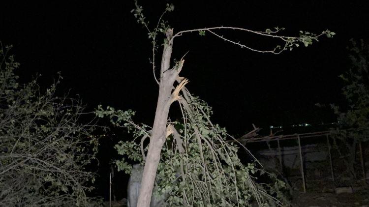 <p><strong><em>B&uuml;t&uuml;n kurumlarımızla Oyaca k&ouml;y&uuml;m&uuml;zdeyiz. Jandarma personellerimiz de g&uuml;venlik tedbirlerini almış durumdalar. AFAD Başkanımız da aradılar, her t&uuml;rl&uuml; desteğe hazır olduklarını s&ouml;ylediler. </em></strong></p>

<p>&nbsp;</p>

<p><strong><em>Şu an ihtiyacımız yok, teşekk&uuml;r ettik. Yarın da zarar tespiti hem bu iki k&ouml;y&uuml;m&uuml;zde varsa diğer k&ouml;ylerimizde yapılacak. </em></strong></p>

<p>&nbsp;</p>

<p><strong><em>Yaraları en kısa s&uuml;rede sarmanın &ccedil;alışmasına en kısa s&uuml;rede başlayacağız."</em></strong></p>
