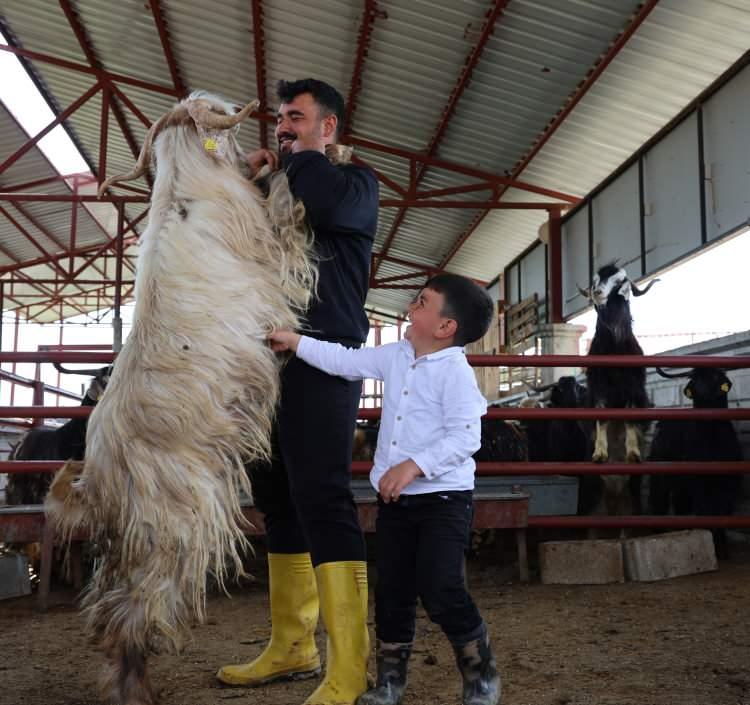 <p>&Ouml;te yandan, &ccedil;iftlikteki hareketliliğin bayrama kadar artarak devam etmesi bekleniyor.</p>

