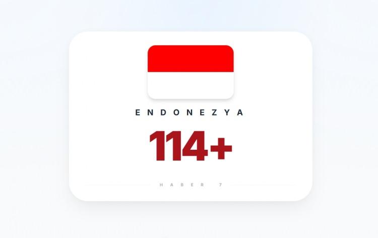 <p><span style="color:#B22222"><strong>9)&nbsp; ENDONEZYA</strong></span></p>

